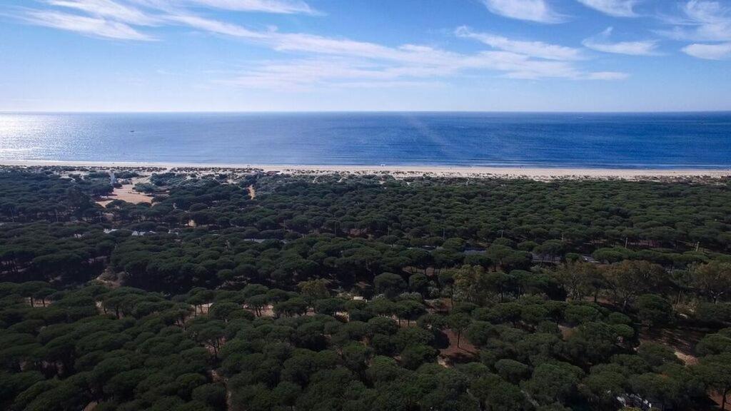 Camping Giralda Huelva Kültér fotó
